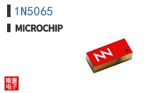 1N5065