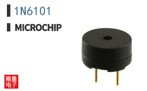 1N6101