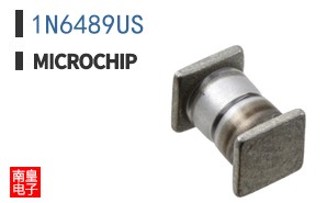 1N6489US