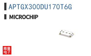 APTGX300DU170T6G