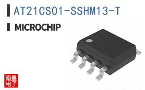 AT21CS01-SSHM13-T
