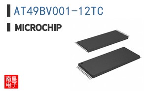 AT49BV001-12TC