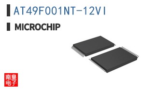 AT49F001NT-12VI