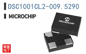 DSC1001CL2-009.5290