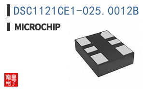 DSC1121CE1-025.0012B