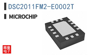DSC2011FM2-E0002T