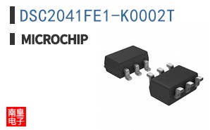 DSC2041FE1-K0002T