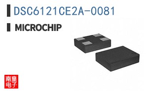 DSC6121CE2A-0081