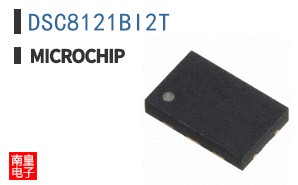 DSC8121BI2T