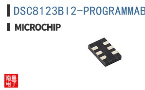 DSC8123BI2-PROGRAMMABLE