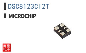 DSC8123CI2T