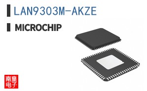 LAN9303M-AKZE