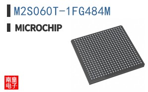 M2S060T-1FG484M