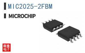 MIC2025-2FBM