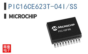 PIC16CE623T-04I/SS