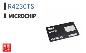 R4230TS
