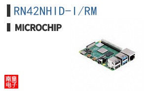 RN42NHID-I/RM