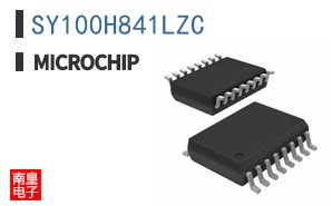 SY100H841LZC