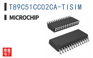 T89C51CC02CA-TISIM