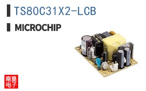 TS80C31X2-LCB