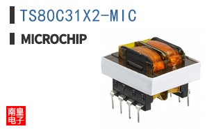 TS80C31X2-MIC