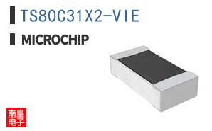 TS80C31X2-VIE