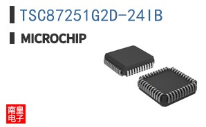 TSC87251G2D-24IB