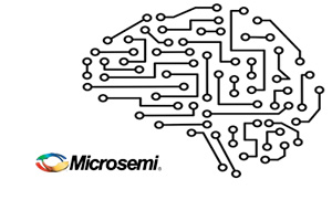 MicrosemiɭǶʽ΢ȫFPGA-based ȫο